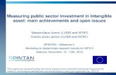Measuring public sector investment in intangible asset ... · Measuring public sector investment in intangible asset: main achievements and open issues Massimiliano Iommi (LUISS and