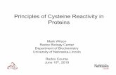 Principles of Cysteine Reactivity in Proteinsgenomics.unl.edu/RBC_2019/COURSE_FILES/mon3.pdf · 2019. 6. 11. · Peroxiredoxins (50-500x more abundant than the other enzymes): k cat/K