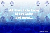 All there is to know about Galas and more… there is to know.pdf · If you arrive too late for your event, even if not started but all swimmers got called, you will not be allowed