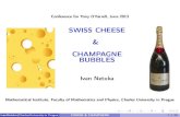 SWISS CHEESE CHAMPAGNE SWISS CHEESE A Swiss cheese is a nowhere dense compact set K ¢¹â€ C formed by