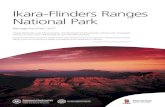 Ikara-Flinders Ranges National Park · 2017. 5. 19. · Ikara-Flinders Ranges National Park Management Plan 2017 ‘Inhaadi Ngalpurlaru yarta Adnyamathanha. Inhanga Adnyamathanha
