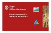 Crop Insurance for Tree Fruit Producers · Single Crop “Multi-Peril” Insurance Most commonly, farmers buy crop insurance policies for one single crop at a time Single crop policies