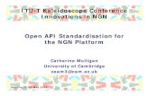 ITU-T Kaleidoscope Conference Innovations in NGN Open API ......Geneva, 12-13 May 2008 First ITU-T Kaleidoscope Conference – Innovations in NGN 2 Introduction Platform Economics