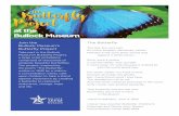 The Butterfly Project at the Bullock Museum · 2016. 4. 19. · Butterly Project at the Bullock Museum Help us create 1500 butterlies for a beautifully poignant art installation.