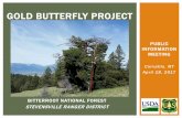 GOLD BUTTERFLY PROJECTa123.g.akamai.net/7/123/11558/abc123/forestservic... · 2017. 4. 19. · 9,500 acres are designated within the Gold Butterfly Project area. Designated Priority