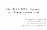 Microfluidic PCR in diagnostic microbiology - an overview. Dec-V… · • Park S, et al. Advances in microfluidic PCR for point-of-care infectious disease diagnostics. Biotechnol