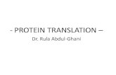- PROTEIN TRANSLATION - Weebly...Summary of Protein Synthesis 1. Binding of mRNA to ribosome 2. Charged, amino-acylated initiator tRNA binds to P site of ribosome and is based paired