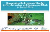 Documenting the Invasion of LionfishImpacts of Lionfish Dense lionfish populations can consume more than 460,000 prey fish/acre/year Caribbean-reduction of standing biomass of native