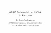 APAO Fellowship at UCLA: In Pictures...Trabectome wet lab certificate didactic. Attending Grand Rounds at UCLA Dr Joseph Caprioli at Grand Rounds Dr Nouri Mahdavi at Grand Rounds.