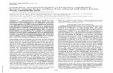 Purification characterization endothelium- cultured ... · 10480 Thepublication costsofthis article weredefrayedin partbypagecharge payment.Thisarticle mustthereforebeherebymarked"advertisement"
