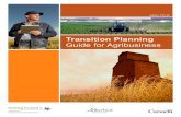 Transition Planning Guide for Agribusiness (Agdex 812-22)department/deptdocs.nsf/all/agdex16… · transition, a transition plan needs to complement the strategic direction of your