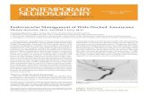 Endovascular Management of Wide-Necked Aneurysms · endovascular obliteration of aneurysms became a common practice. Many studies have shown equivalent or improved short- and medium-term