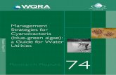 Management Strategies for Cyanobacteria - Ohio EPA€¦ · The Management Strategies for Cyanobacteria (Blue-Green Algae): A Guide for Water Utilities is a comprehensive manual, which