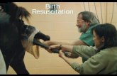 Birth Resuscitation - NICUvetnicuvet.com/nicuvet/Equine-Perinatoloy/Lecture... · Apnea at Birth Birth asphyxia Maternal drugs CNS injury Septicemia Muscular or neurological disease