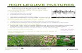 Advantages of High Legume Pastures - Grey Wooded Forage ...greywoodedforageassociation.com/wp-content/uploads/...-Jim Gerrish Alfalfa Sainfoin Red Clover Alsike Clover ... (Comments-Doug
