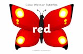 Colour words on butterflies · Colour Words on Butterflies . Title: Colour words on butterflies Author: Samuel Created Date: 7/17/2013 3:44:26 PM