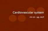 Cardiovascular system...Cardiovascular system Ch 12 – pg. 217 12.1 Blood vessels 3 types: 1. Arteries (and arterioles) 2. Capillaries 3. Veins (and venules) Arteries Have 3 layers: