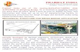 MECHANICAL STRUCTURE FOR WEIGH BRIDGE APPLICATION - Prabhat …prabhatindia.in/Catelog/Orthotropic.pdf · Prabhat India one of the leading MANUFACTURERS AND SUPPLIERS of Weighing