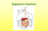 Ch. 38 Excretory System...Excretory System Functions: •The excretory system is a system of organs that remove _____from the body. •The mains organ of the excretion are the _____