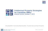 Intellectual Property Strategies for Canadian SMEs · © Perry + Currier Inc. 2015 Intellectual Property Strategies for Canadian SMEs Andrew Currier, October 7, 2015 (This presentation