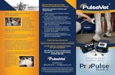 Back to Work with the Gold Standard in Shock Wave Therapy...VersaTron and ProPulse are available exclusively from Pulse Veterinary Technologies, LLC. PulseVet is committed to advancements