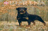 Rottweiler Health Foundation - Today’s Breederrottweilerhealth.org/pdfs/tb74_final.pdfsetup for breeding Rottweilers, but little has changed about the way litters are raised. On