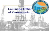 Louisiana Office of Conservation€¦ · 13 Allows queries without using any plug-ins; only native web browser functionality Live- once keyed into database, available in Lite Access