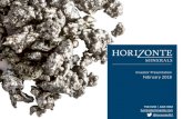 Investor Presentation February 2018 - Horizonte Minerals · for 2 nickel mines to produce ferronickel (saprolite ore) for the stainless steel industry and nickel cobalt (limonite