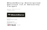 BlackBerry Enterprise Service 12.5 Security Target ST v1.1… · BlackBerry Enterprise Service 12.5 Security Target Doc No: 1958-002-D102 Version: 1.11 Date: 7 August 2018 Page ii