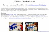 Flowers Nomenclature - WordPress.com€¦ · Flowers Nomenclature For more Montessori Printables, visit 1+1+1=1 Montessori Printables Nomenclature cards are a Montessori based idea.
