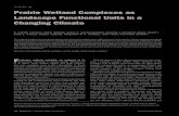 Articles Prairie Wetland Complexes as Landscape Functional ...Landscape Functional Units in a Changing Climate W. Carter Johnson, Brett Werner, Glenn r. GuntensperGen, riChard a.Voldseth,