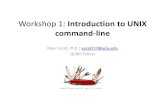 Workshop 1: Introduction to UNIX command-line · 2020. 4. 1. · Day 1 pwd - report your current directory cd  - change your current directory ls