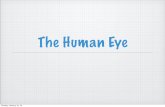The Human Eye - Ms. kropacmskropac.weebly.com/uploads/2/4/9/7/24970344/_eye.pdf · The Human Eye Sunday, January 10, 16. Parts of the Eye Sunday, January 10, 16. The Iris Coloured