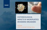ECOTOXICOLOGICAL IMPACTS OF MICROPLASTICS ON ......web transfer, and ecotoxicological impact of MPs together with the persistent organic pollutants (POPs), metals and plastic additive