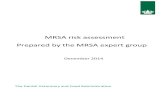MRSA risk assessment Prepared by the MRSA expert group · MRSA RISK ASSESSMENT 5 FACTS ABOUT METHICILLIN RESISTANT STAPHYLOCOCCUS AUREUS (MRSA) THE BACTERIA STAPHYLOCOCCUS AUREUS