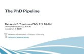 The PhD Pipleline - National Institute of Nursing Research€¦ · into PhD programs and careers in nursing science. • Include a cross-sectional invitational focus group of 7- 10