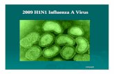 2009 H1N1 Influenza A Virus Presentation.pdfWhat is 2009 H1N1 (swine flu)? ¾2009 H1N1 (sometimes called “swine flu”) is a new influenza virus causing illness in people. ¾This