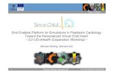 Grid-Enabled Platform for Simulations in Paediatric ... · 2 Michael Sühling, Siemens AG EU-US eHealth Cooperation Sim-e-Child • FP7 STREP (Follow-up of FP6 Health-e-Child project)