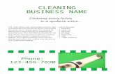 Publication1 - cleaning flyerTitle: Publication1 Author: Owner Created Date: 6/30/2012 9:59:02 PM