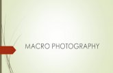 MACRO PHOTOGRAPHY€¦ · MACRO PHOTOGRAPHY. Definition Macro refers to the fact that the size of the subject is the actual size on the media. i.e. a 1:1 ratio. It also generally