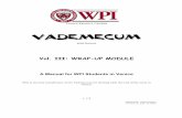 Vol. III: WRAP-UP MODULEece.wpi.edu/CityLab/ID2050/Handouts/Academics/Project... · 2007. 8. 24. · VENICE PROJECT CENTER 2005 Edition Vol. III: WRAP-UP MODULE A Manual for WPI Students
