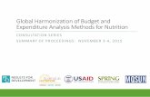 Global Harmonization of Budget and Expenditure Analysis ...scalingupnutrition.org/wp-content/.../2016/06/Nutrition-budget-analys… · 1 Facilitate global information sharing on budget