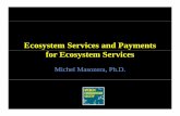 Ecosystem Services and Payments for Ecosystem Services€¦ · Costa Rica: A National Payment forCosta Rica: A National Payment for National law gives government Tax on fossil fuels