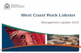 West Coast Rock Lobster · Rock Lobster Management Team Graeme Baudains Principal Management Officer Ph: +61 (08) 6551 4427 email: Graeme.Baudains@dpird.wa.gov.au Pia Dobson