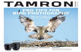 Spring/Summer 2020 ssue 8 I PRO TIPS FOR BIRD ......Tamron Magazine 3TAMRON NEWS Get news, interviews, photo tips and more twice a month. Visit Tamron at to sign up FOLLOW US: FACEBOOK