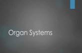 Organ Systems - Mrs. Moody -- Biology Classes€¦ · Human Organ Systems. HOMEOSTASIS ... Describe the relationship between structure and function of organ systems in plants and