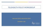 TELEHEALTH POLICY WORKGROUP · Dental A questionnaire is being designed to help assist dentists in determining if teledentistry is a suitable option for their practice based on data