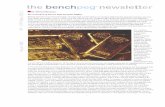 Archive of research processes and output produced by RCA ... Ethical Gold 1 2010.pdf · Though high-profile ethical campagns affecting the jewellery industry are not new (think diamonds,