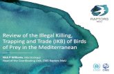 Review of the Illegal Killing, Trapping and Trade (IKB) of Birds of ... situatio… · • Bosnia and Herzegovina: Bearded Vulture, Eurasian Sparrowhawk and Northern Goshawk are currently
