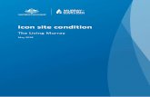 Icon site condition · It is a partnership between the Australian Government and the New South Wales, Victorian, South Australian and Australian Capital Territory governments and